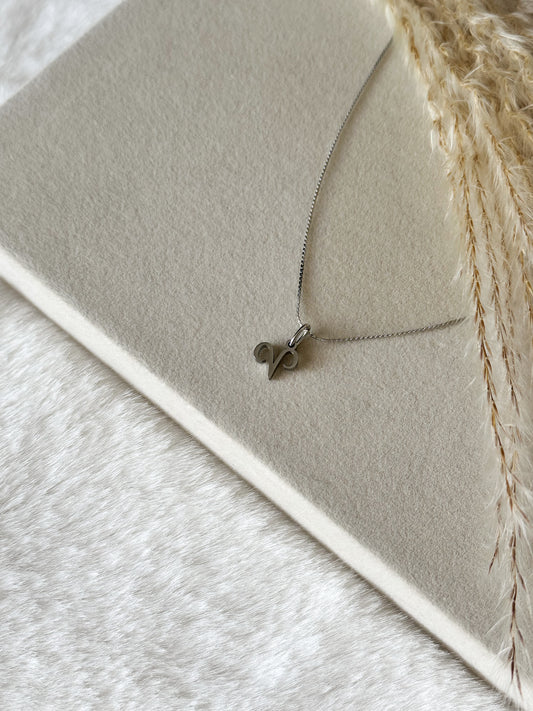 Feine silberne Sternzeichenkette mit filigranem Tierkreisanhänger auf beigem Stoff und Pampasgras, minimalistisches Schmuckdesign – Javi Jewelery