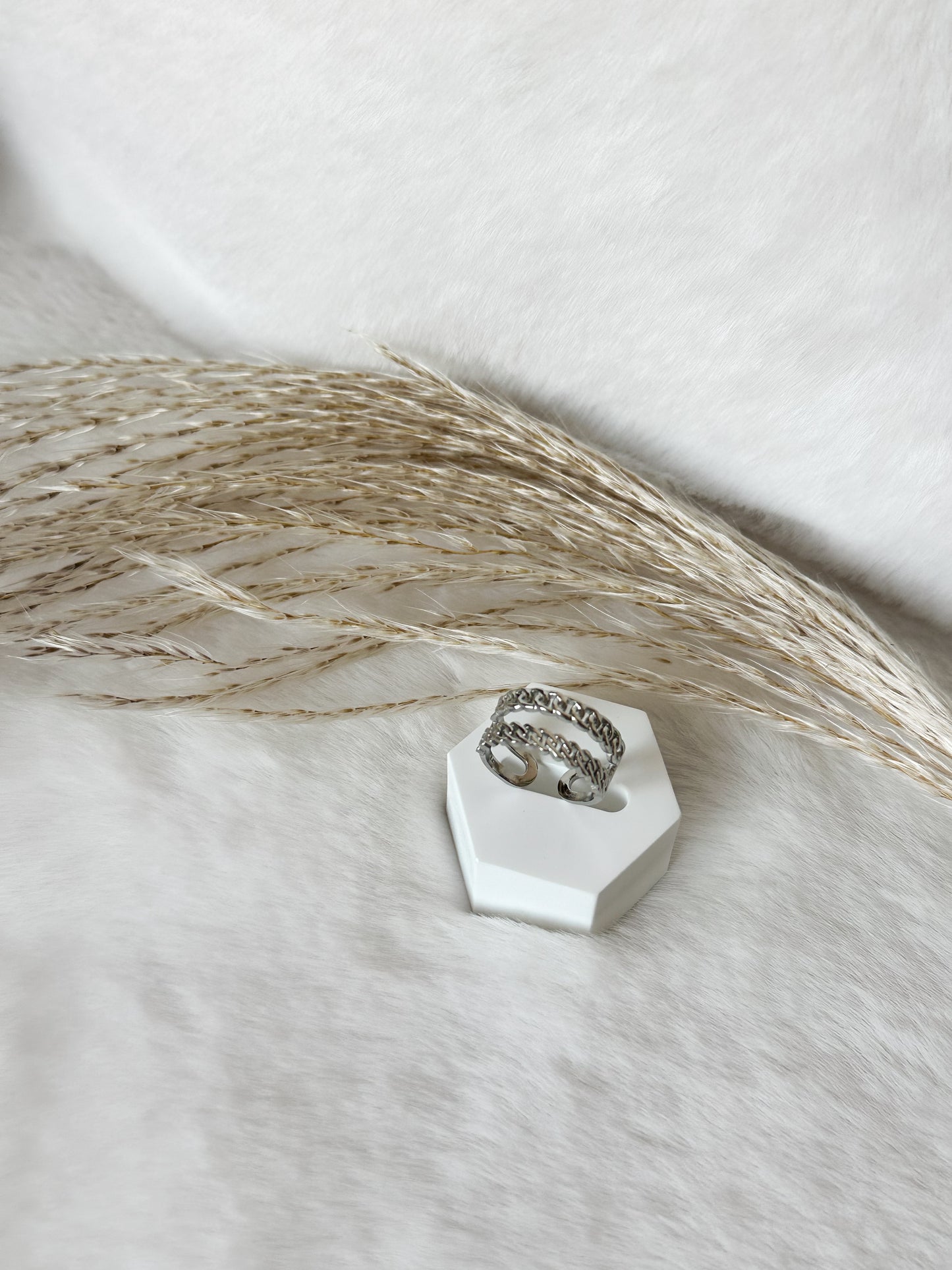 Twin ~ Ring