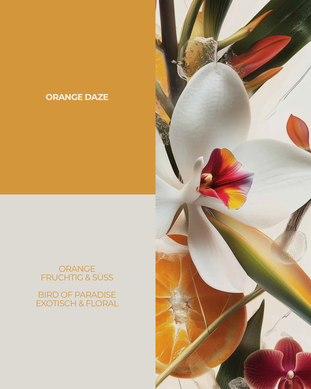 ORANGE DAZE ~ Raumduft 250ml