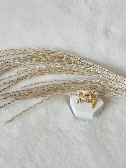 Goldener Ring mit funkelnder, strukturierter Oberfläche in stilvollem Design, elegant präsentiert auf weißem Untergrund mit Pampasgras – edler Schmuck von Javi Jewelery