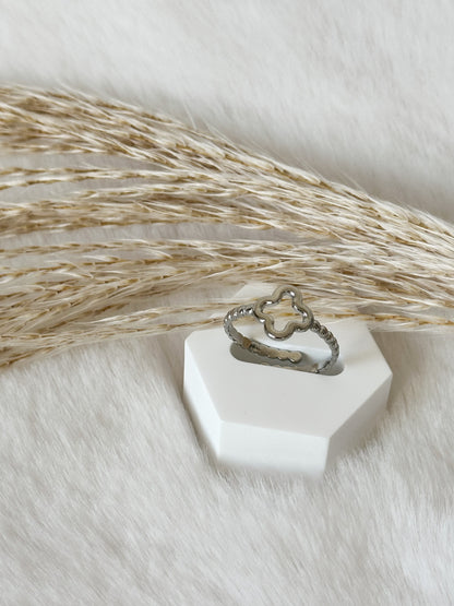 Dublin ~ Ring