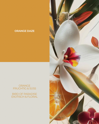 ORANGE DAZE ~ Raumduft 250ml