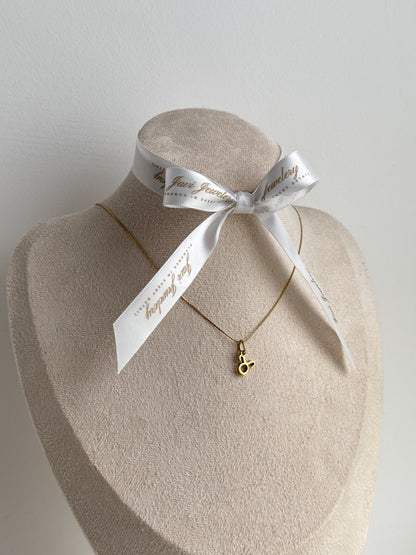 Feine goldene Sternzeichenkette mit filigranem Anhänger auf beigem Stoff und Pampasgras, minimalistisches Schmuckdesign – Javi Jewelery