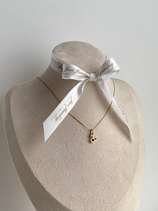 Feine goldene Sternzeichenkette mit filigranem Anhänger auf beigem Stoff und Pampasgras, minimalistisches Schmuckdesign – Javi Jewelery